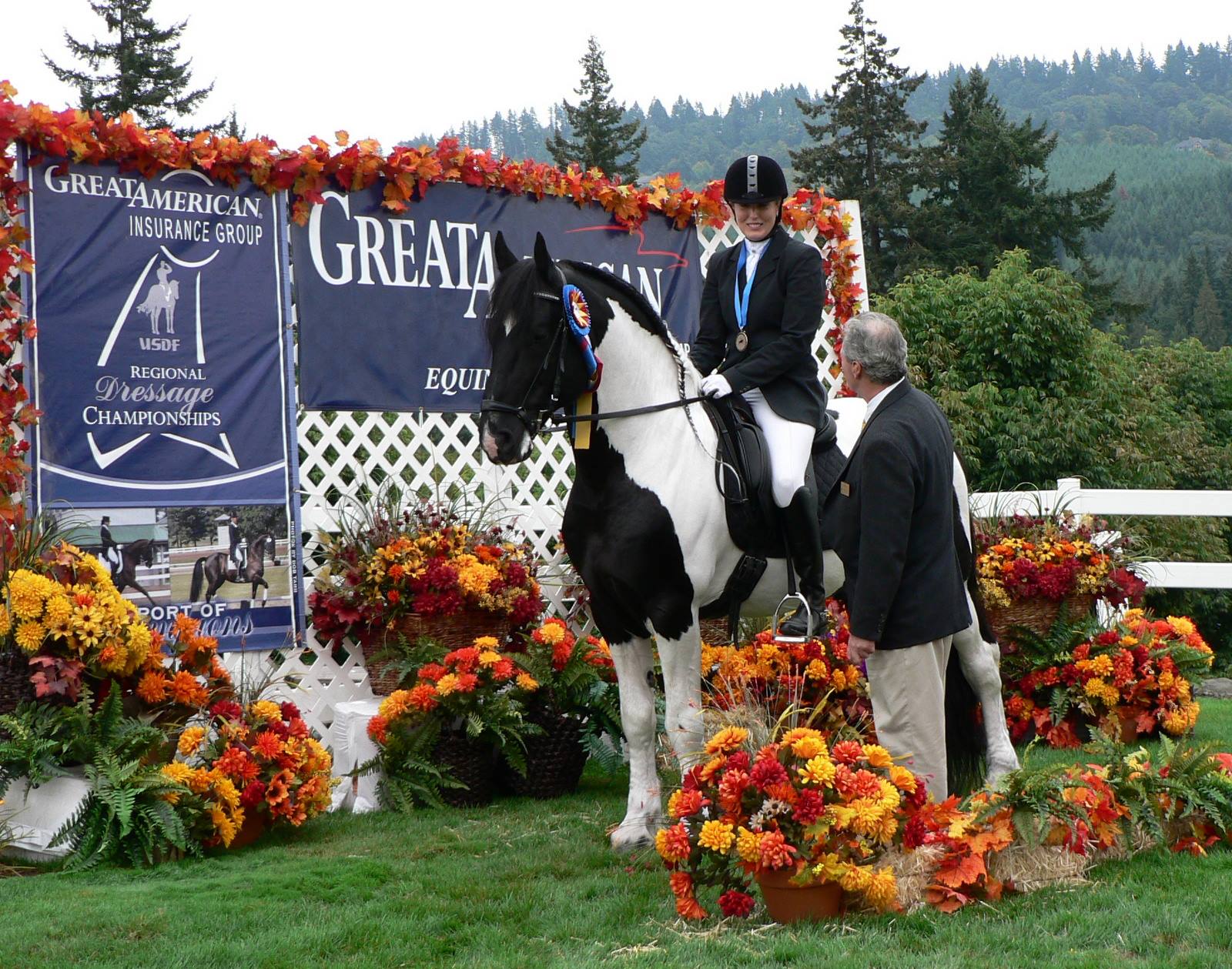 Orca - Pinto Friesian Stallion